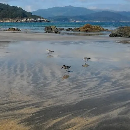 Playa De La Concha