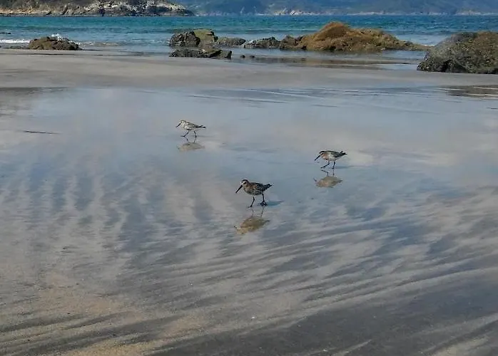Playa De La Concha